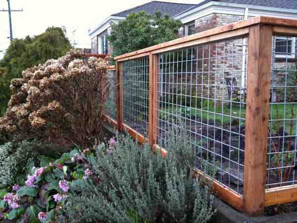 cedar posts and barbed wires fences