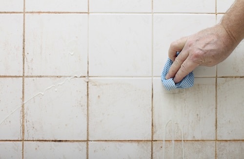 remove mold from walls in bathroom