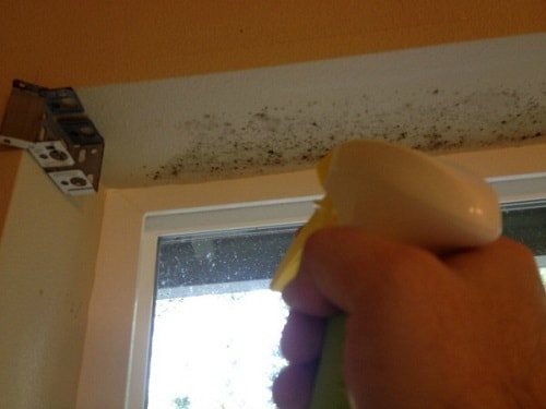 mold removal bathroom ceiling
