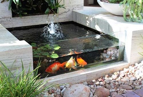 20+ Most Clever Above Ground Koi Pond with Window Ideas