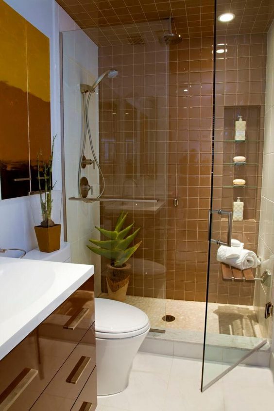 Tiny Bathrooms With Showers Ideas 13
