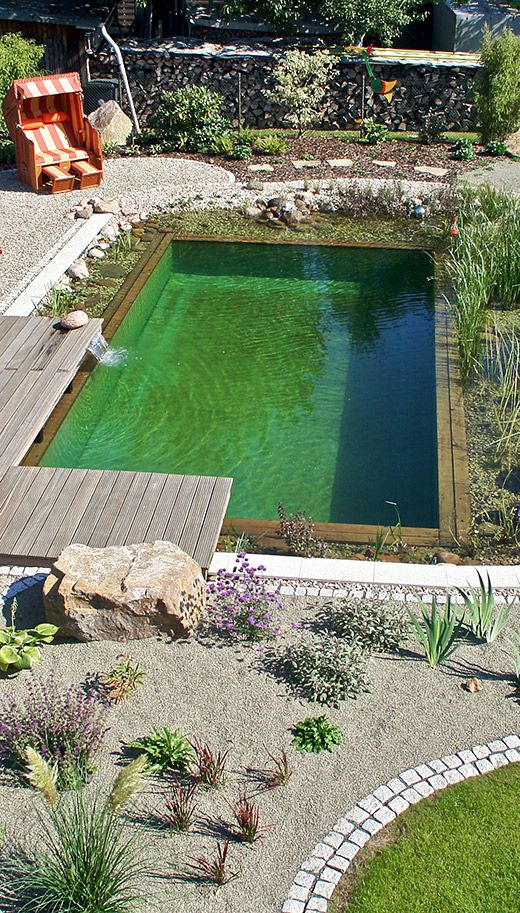 pond swimming pool 24