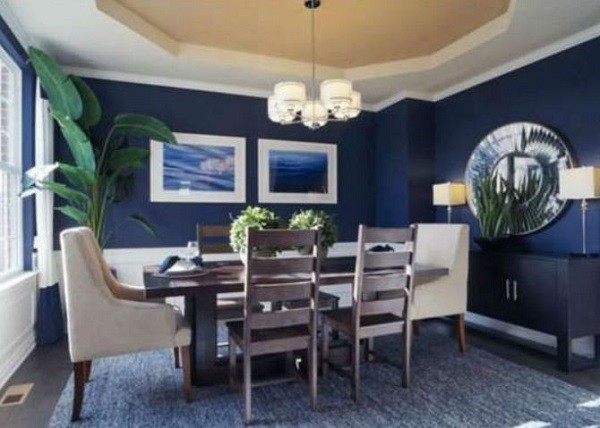 navy dining room feature