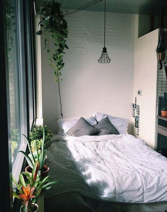 bedroom plants ideas 24