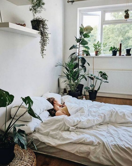 Bedroom Plants Decor: Simple Minimalist Style