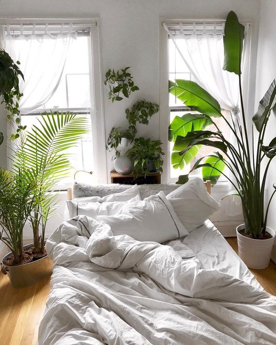 Use Plants To Create A Relaxing Space