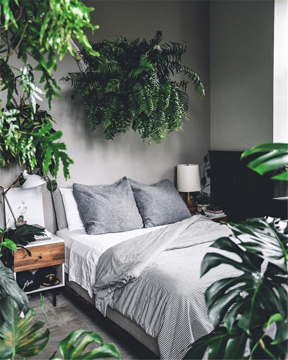 Bedroom Plants Decor: Stylish Neutral Vibe