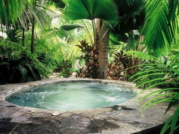 natural hot tub feature