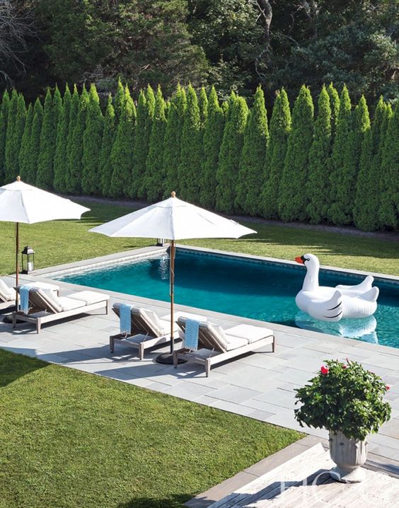 Simple Swimming Pool: Cozy Minimalist Design