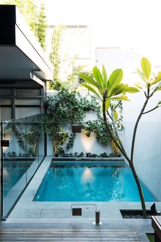 Simple Swimming Pool: Elegant Modern Design