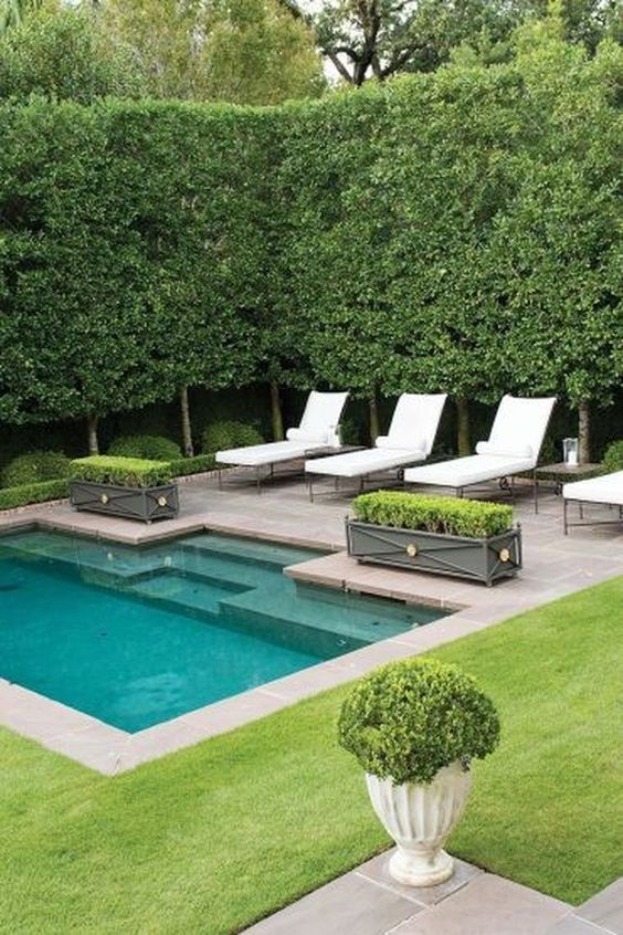 Modern Swimming Pool: Simple Cozy Design