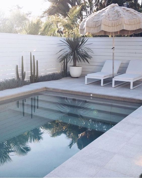 Modern Swimming Pool: Elegant Earthy Design