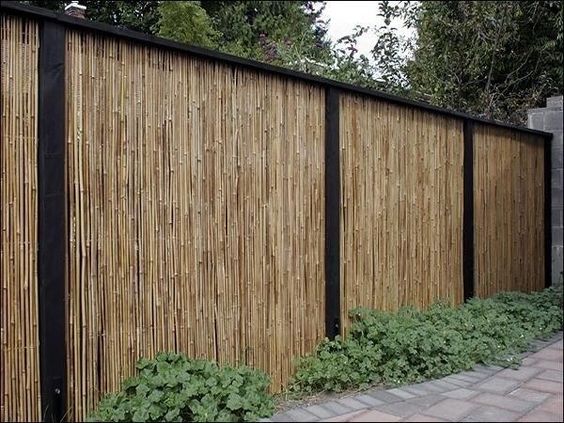 bamboo fence ideas 15