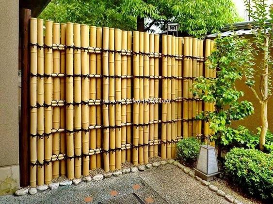 bamboo fence ideas 19