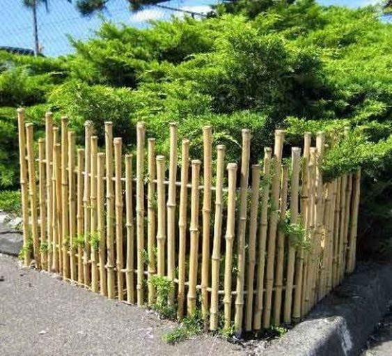 Bamboo Fence Ideas: Cute Decorative Fence
