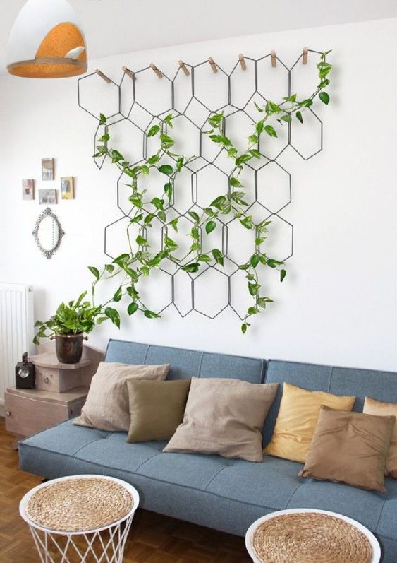 Living Room Plants Ideas: Elegant Modern Decor