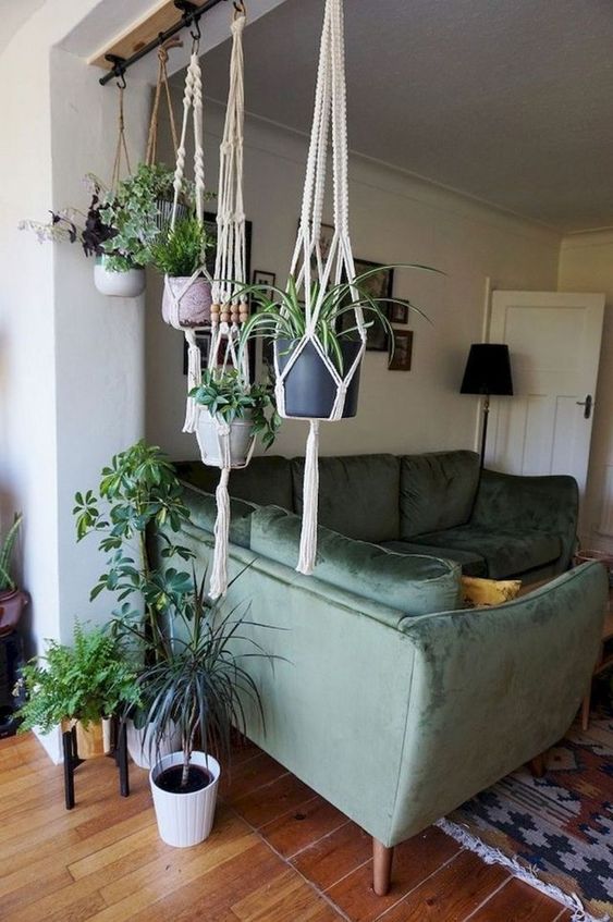 Living Room Plants Ideas: Catchy Bohemian Decor