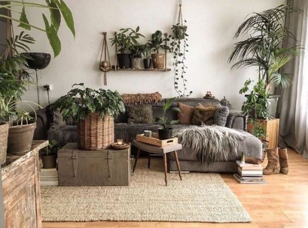 Living-Room-Plants-Ideas-feature