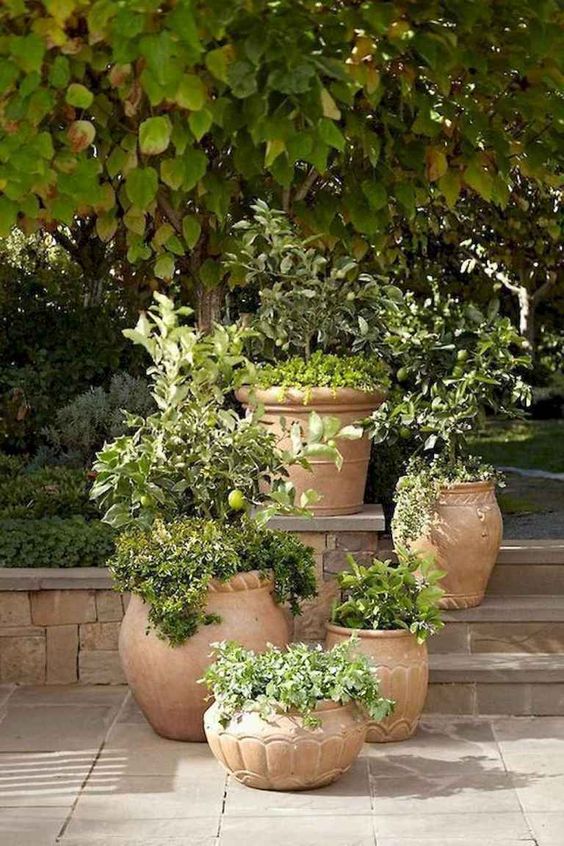 Patio Plants Ideas: Gorgeous Tuscan Planters