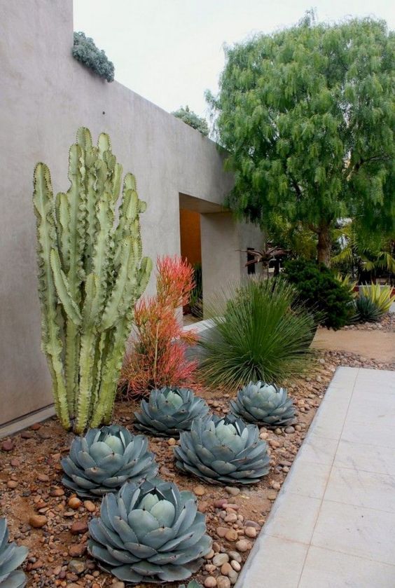 patio landscaping ideas 12