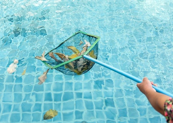 how to maintain a saltwater pool 1