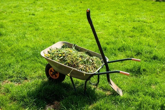 how to weed a garden 3