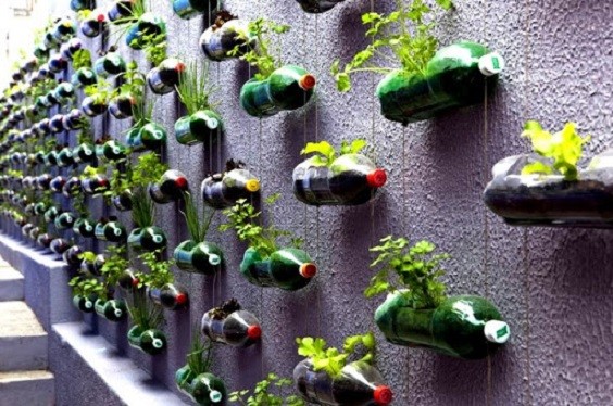 How to Make a Plastic Bottle Garden 4