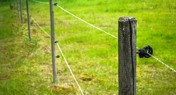 how to install electric fence in the garden 7