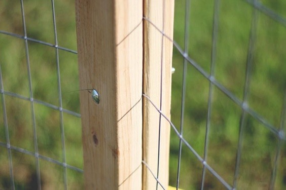 How to Build a Wire Fence 8