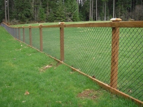 How to Build a Wire Fence for Backyard with 7 Steps | Easy DIY Project
