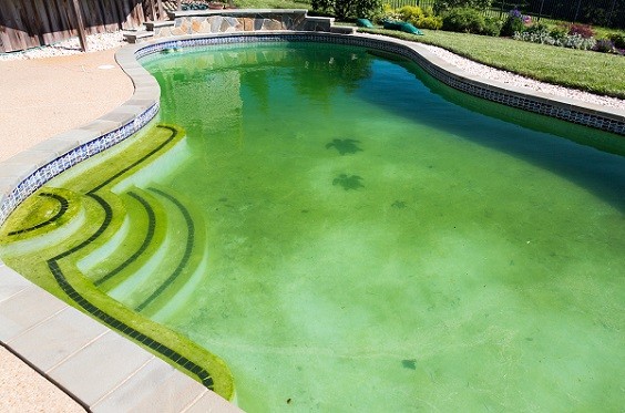 how to clean a green pool fast a