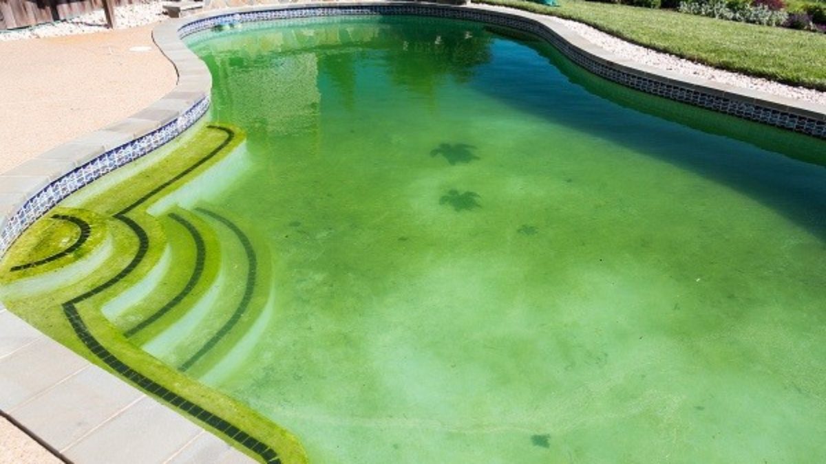 how to clean a green pool fast feature