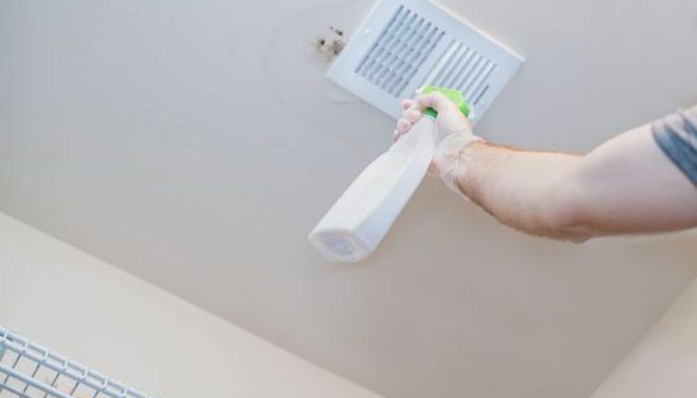 How To Remove Mold From Bathroom Ceiling 2