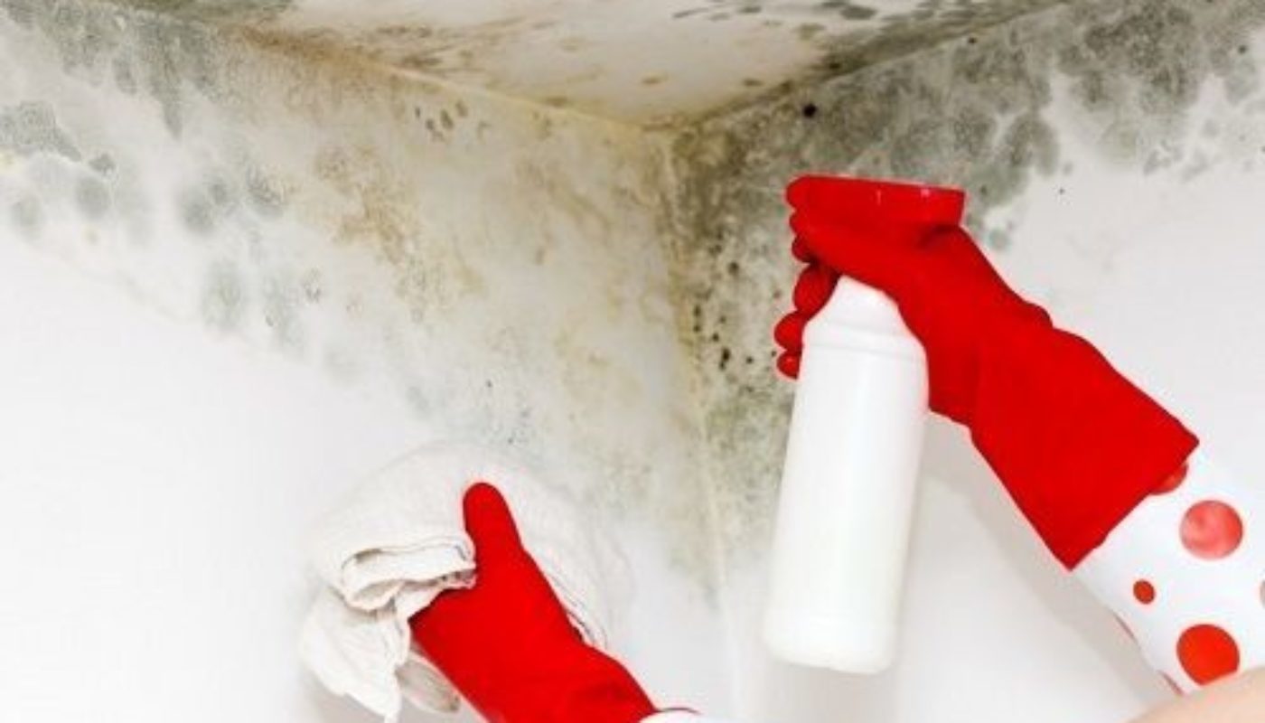 How To Remove Mold From Bathroom Ceiling 3