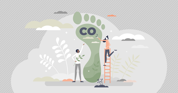 Reduce Your Carbon Footprint with Carbon Neutral and Sustainable Home Furnishings 