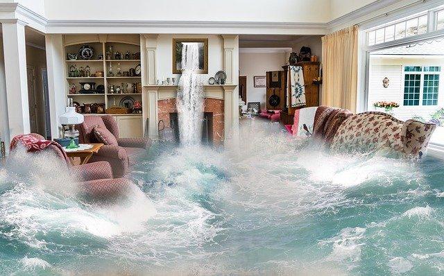 Key Services to Expect from a Water Damage Restoration Process