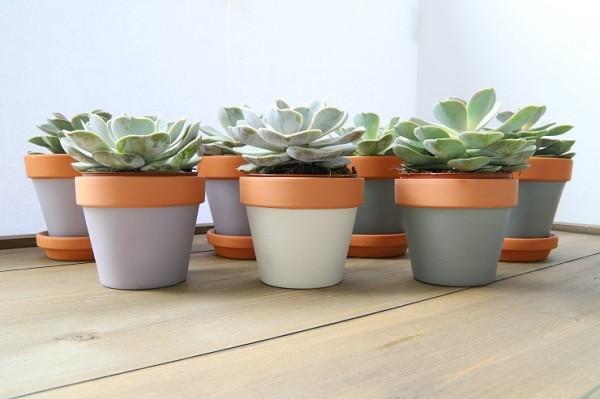 How to Decorate a Flower Pot feature