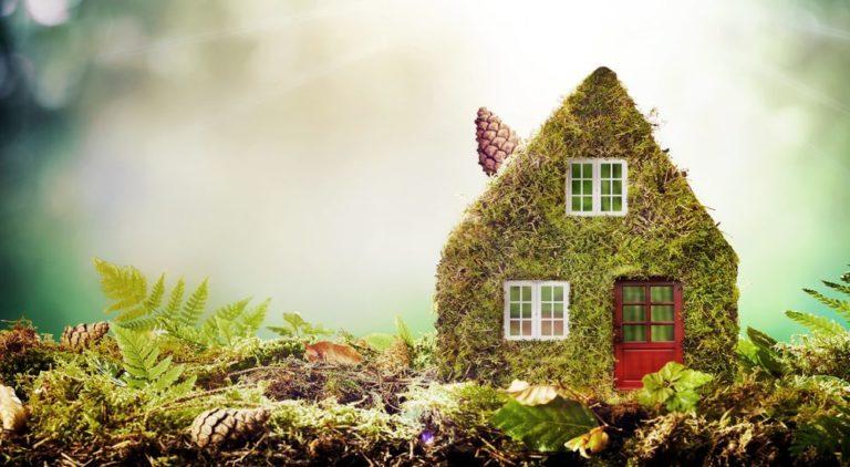 How to Make Your Home Eco-friendly