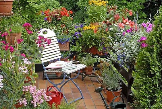 How to Decorate Patio with Plants 1