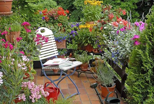 How to Decorate Patio with Plants feature