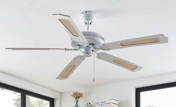 Living Room 101 | How to Choose Ceiling Fan to Chill the Vibe