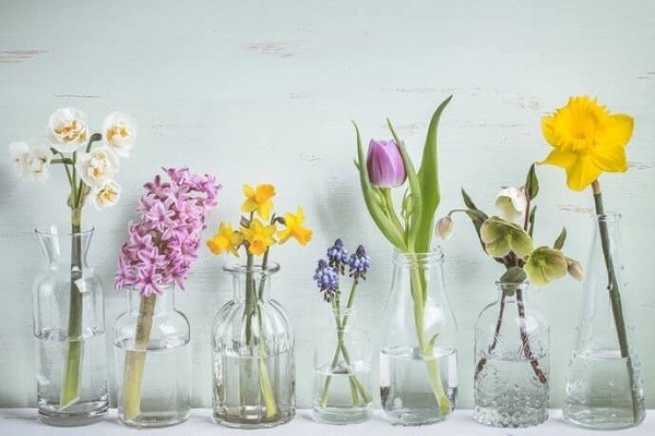 Living Room 101: How to Choose Flower Vases for Airy Gorgeous Décor