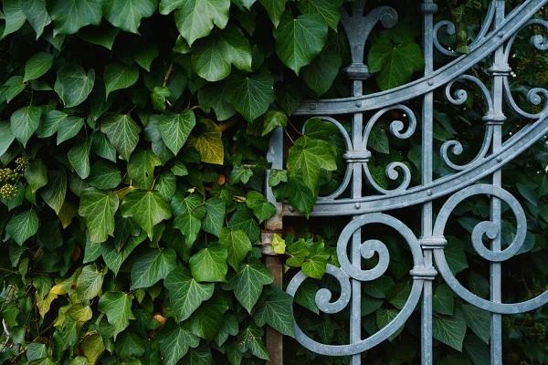 How to Clean Wrought Iron Fence feature