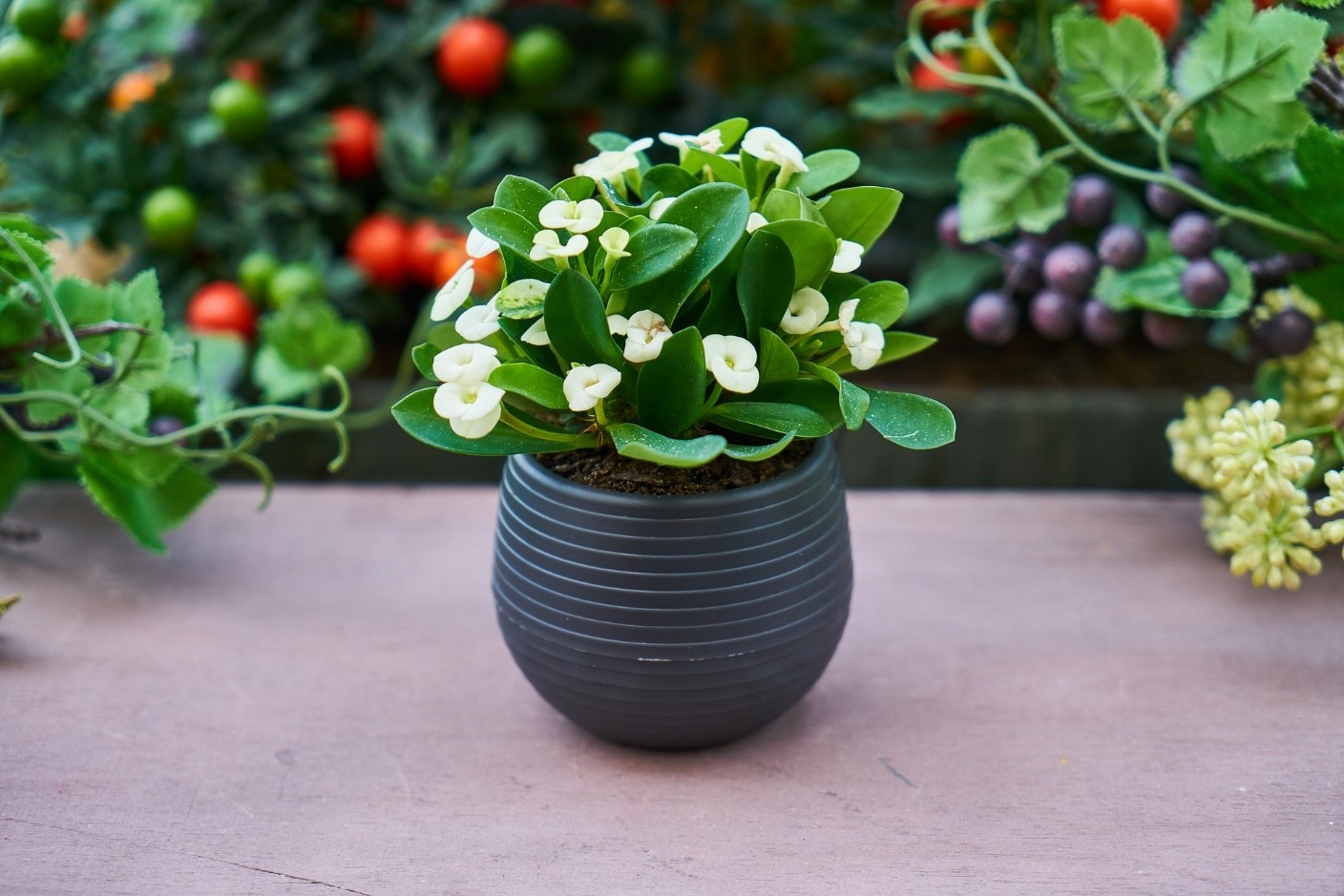 Plant Delivery: What You Should Know About Buying Plants Online