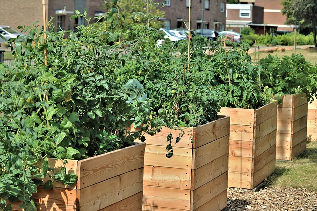 Benefits of Raised Beds
