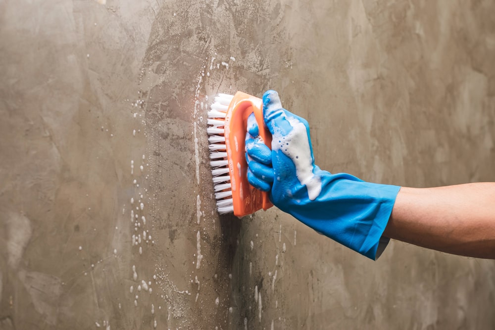 How to Clean Black Mold