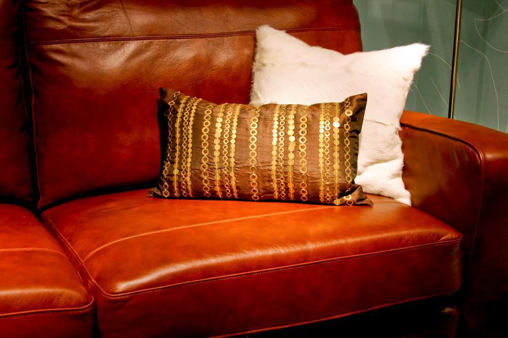 How to Maintain Leather Sofa 1