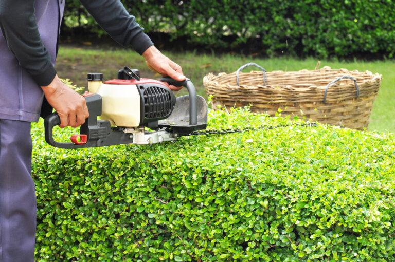 8 Lawn Care Projects that Will Beautify Your Property and Expand its Value