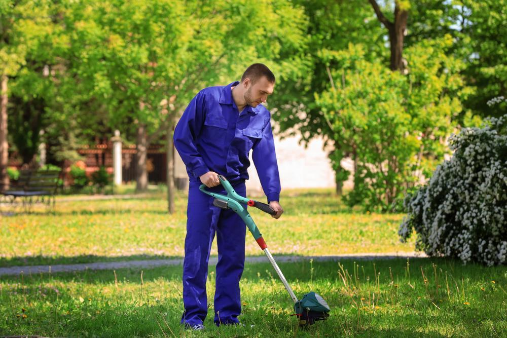 Clean Cut: How To Choose The Right Lawn Care Service For Your Needs