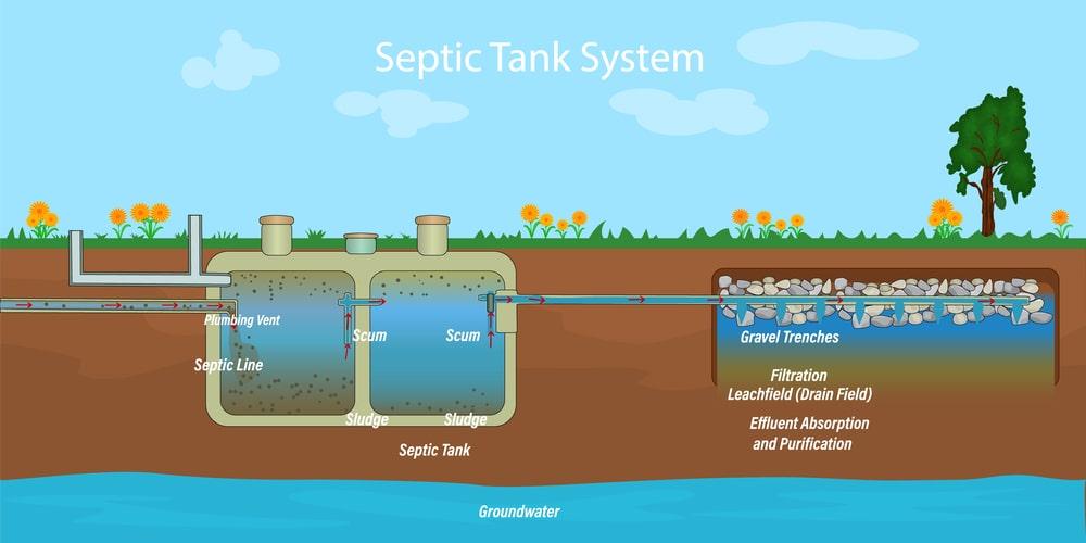 septic-tank-field 